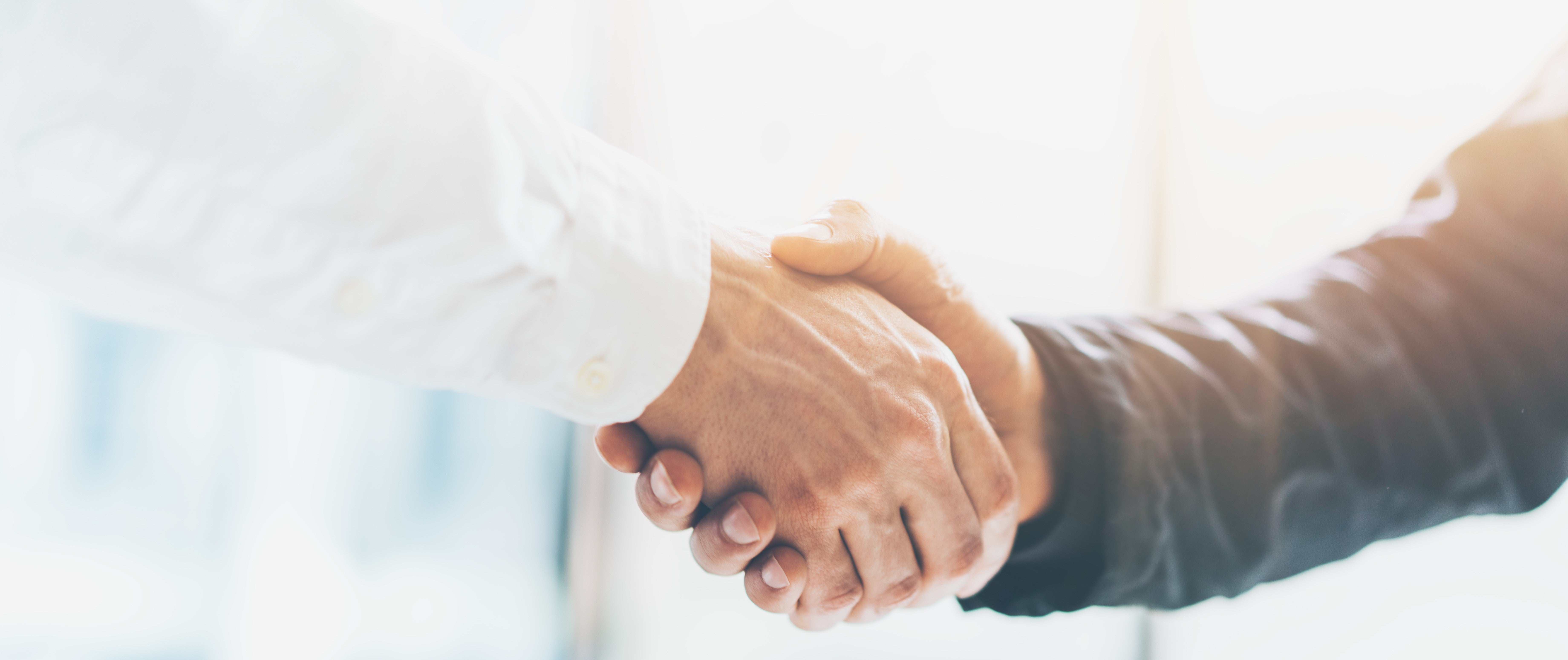 Partnership handshake